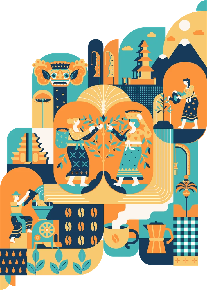 Illustration of the Bali Beans coffee journey