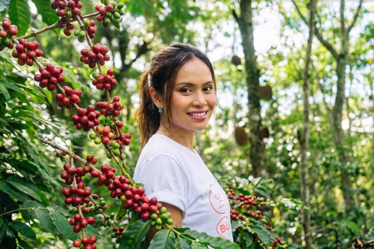 Film Studios, Coffee Farms and Hospitals: How Bali Real Estate Makes Money Without a Single Villa