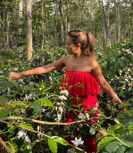 BALI BEANS COFFEE: FROM THE FARM TO YOUR CUP