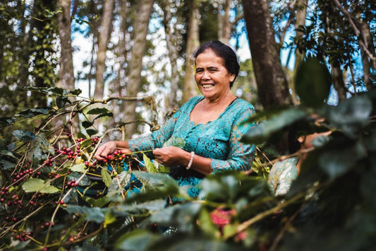 From Farm to Cup: How Bali Beans Coffee Is Changing the Future of Balinese Coffee
