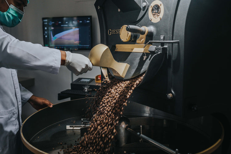 Bali Bean Journey – Coffee Farm Tour Explore the Heart of Coffee