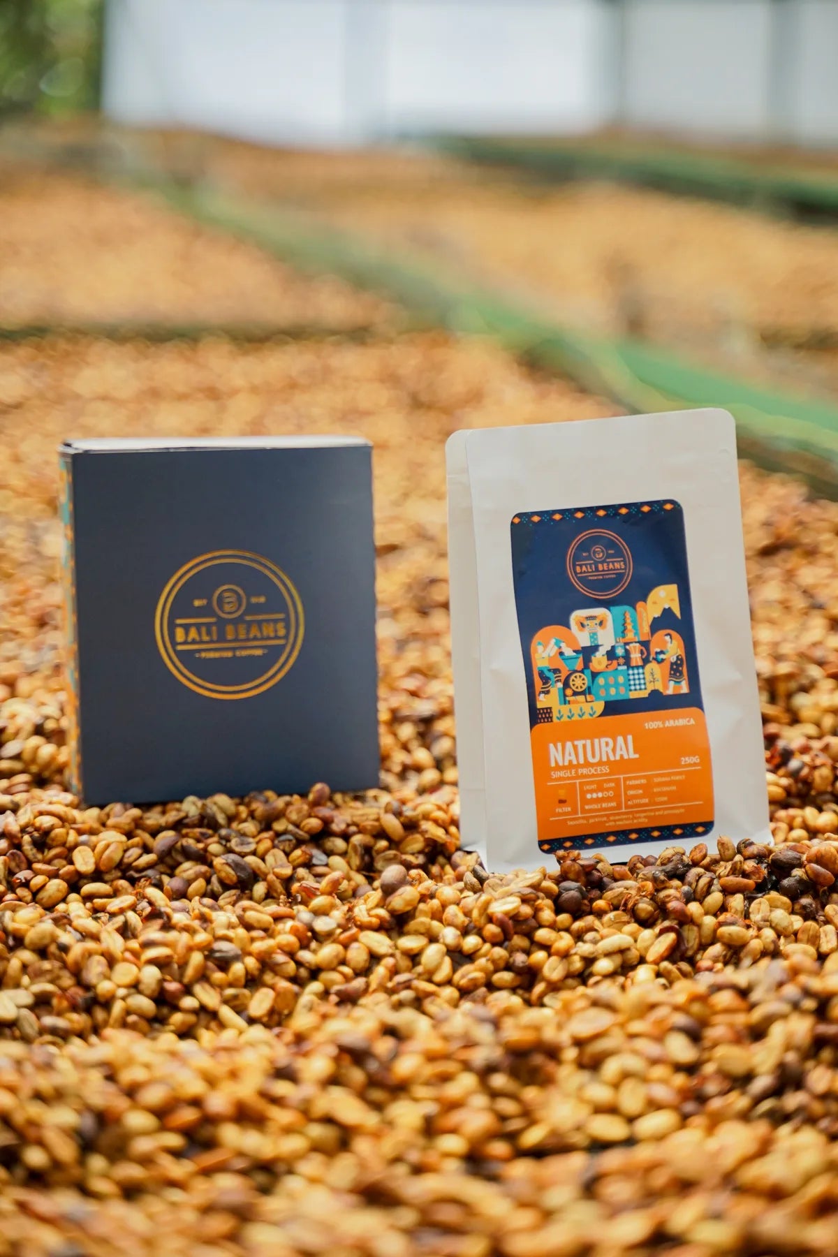 Bali Beans Natural coffee displayed on drying beds in a covered processing area
